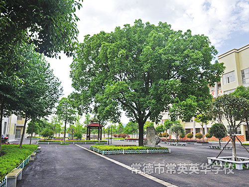 校园风光