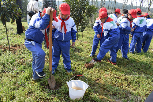 常德市常英英华学校,常德英华学校,英华学校,民办学校,常德民办小学,常德民办初中