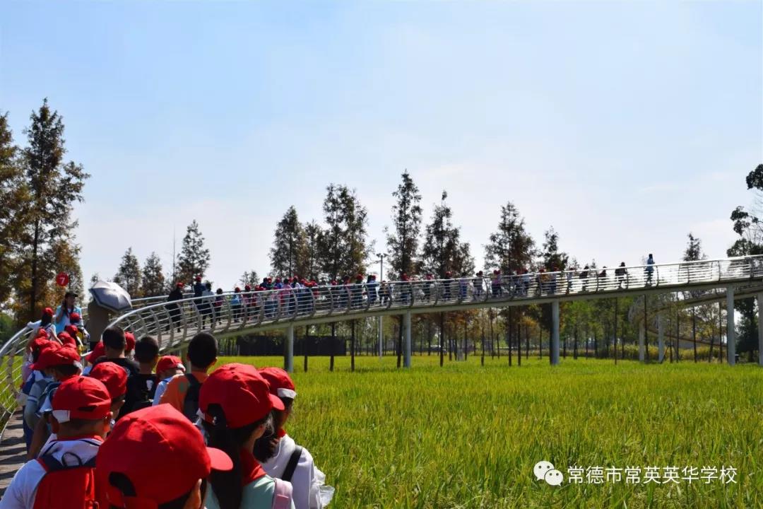 常德市常英英华学校,常德英华学校,英华学校,民办学校,常德民办小学,常德民办初中
