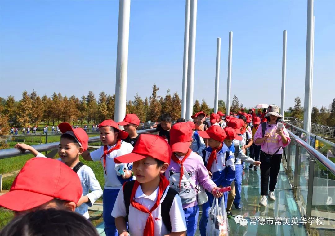 常德市常英英华学校,常德英华学校,英华学校,民办学校,常德民办小学,常德民办初中