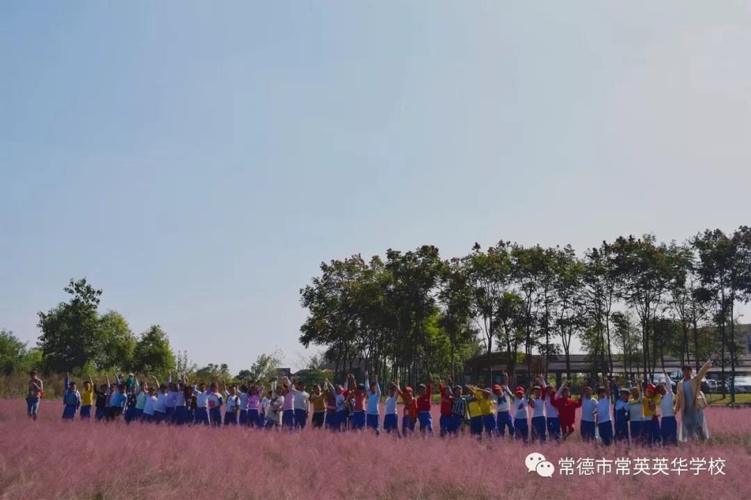 常德市常英英华学校,常德英华学校,英华学校,民办学校,常德民办小学,常德民办初中