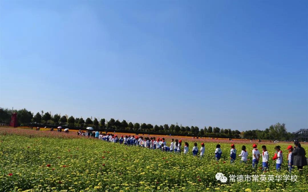 常德市常英英华学校,常德英华学校,英华学校,民办学校,常德民办小学,常德民办初中