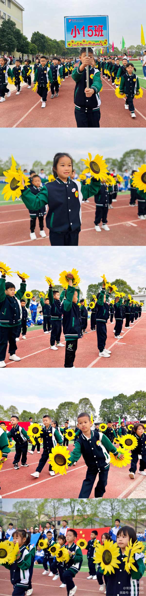 常德市常英英华学校,常德英华学校,英华学校,民办学校,常德民办小学,常德民办初中
